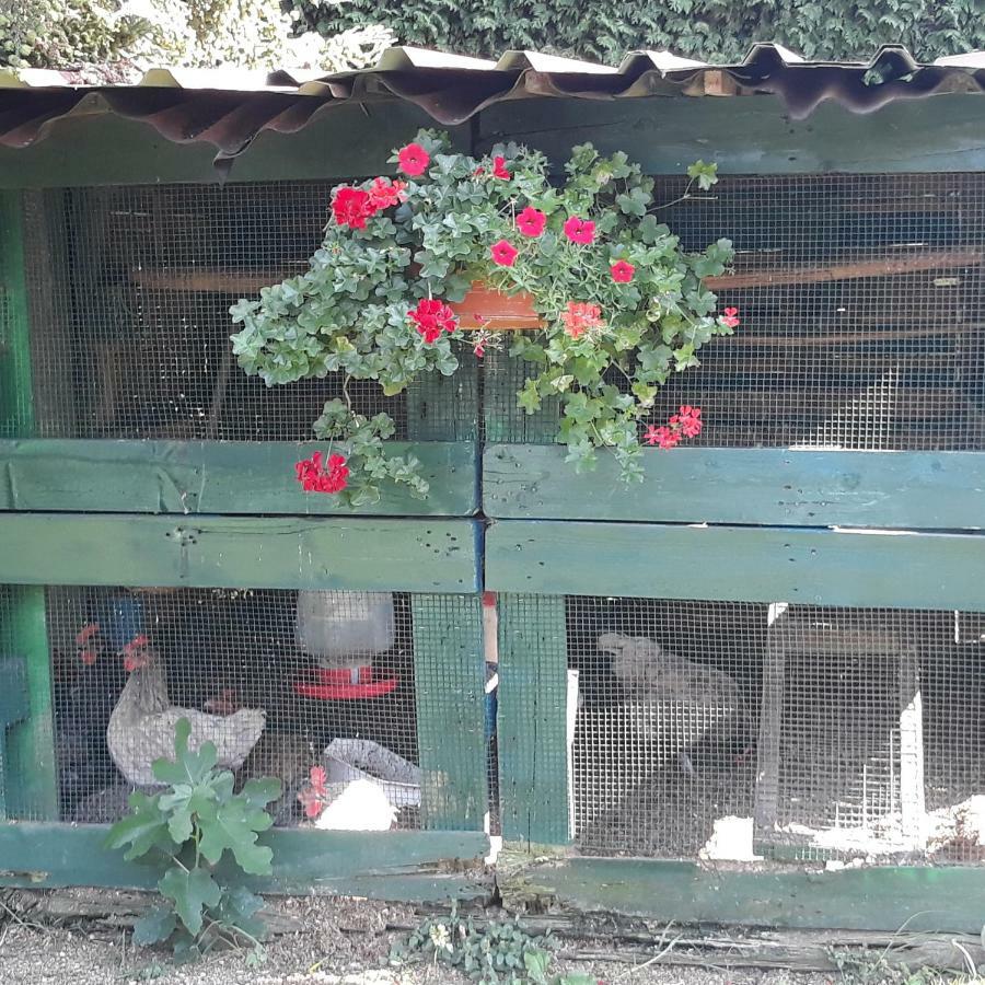 El Atico De Villalmar Tui Ngoại thất bức ảnh